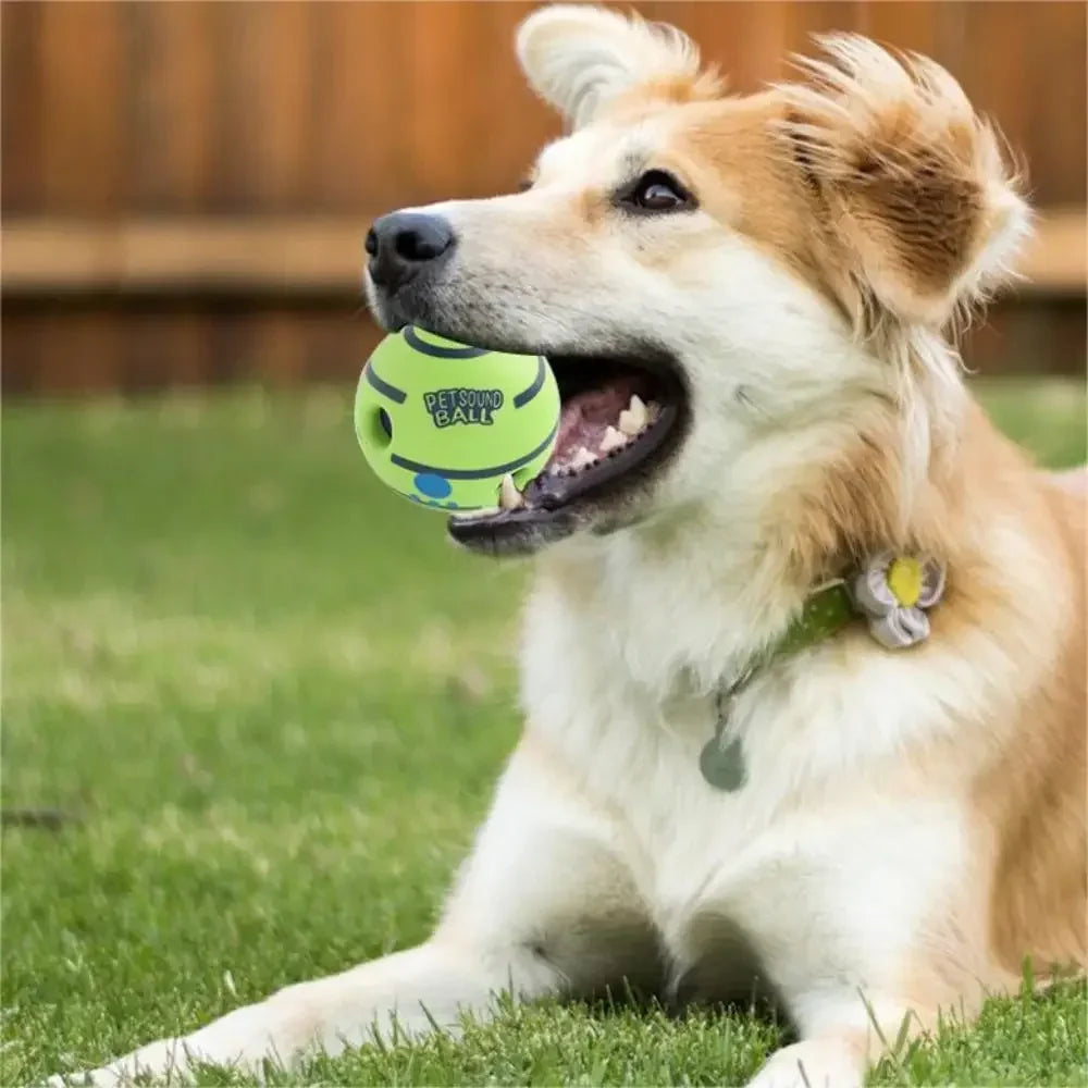 Dog Toy Funny Interactive Giggle Ball Toy for Dog Grind Teeth and Relieve Boredom Dog Wear-resistant Chew Toys Pet supplies