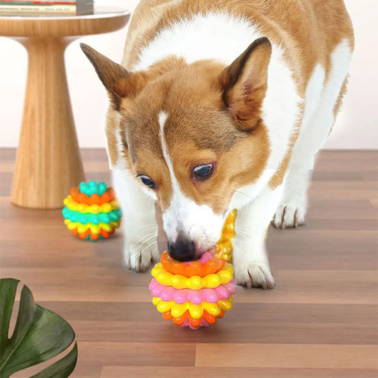 Puppy Teeth Biting Ball Interesting Dog Toy Ball Interactive Relieve Toy for Dog Indoor Outdoor Playing Chewing Toy Pet Supplies