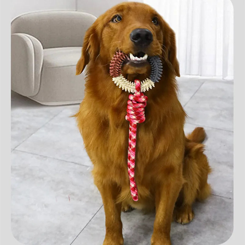Supet Interactive Training Pet Toy Ring Spiked Ring Dog Teeth Cleaning Pet Supplies