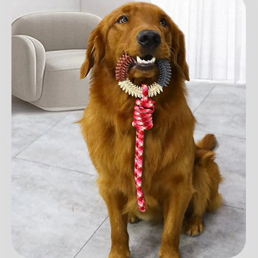 Supet Interactive Training Pet Toy Ring Spiked Ring Dog Teeth Cleaning Pet Supplies