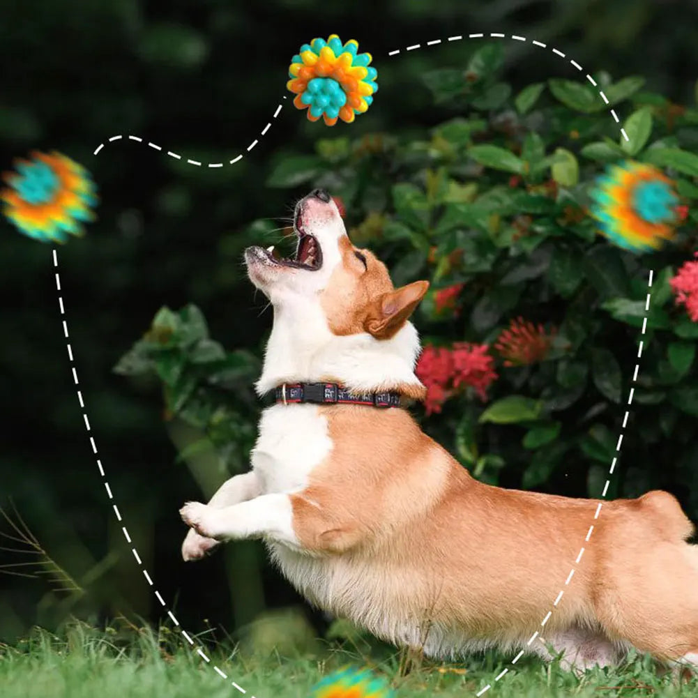 Puppy Teeth Biting Ball Interesting Dog Toy Ball Interactive Relieve Toy for Dog Indoor Outdoor Playing Chewing Toy Pet Supplies